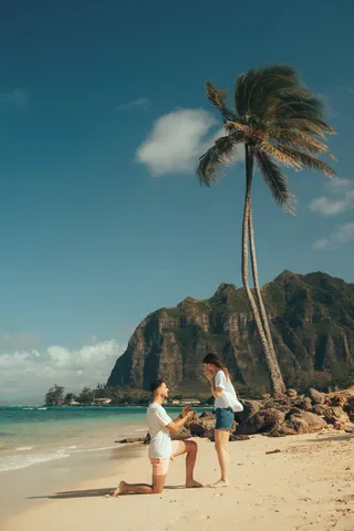 Surprise proposal on the beach under a palm tree in Hawaii